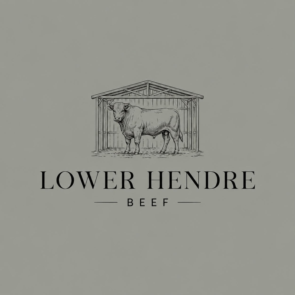 Lower Hendre Beef 